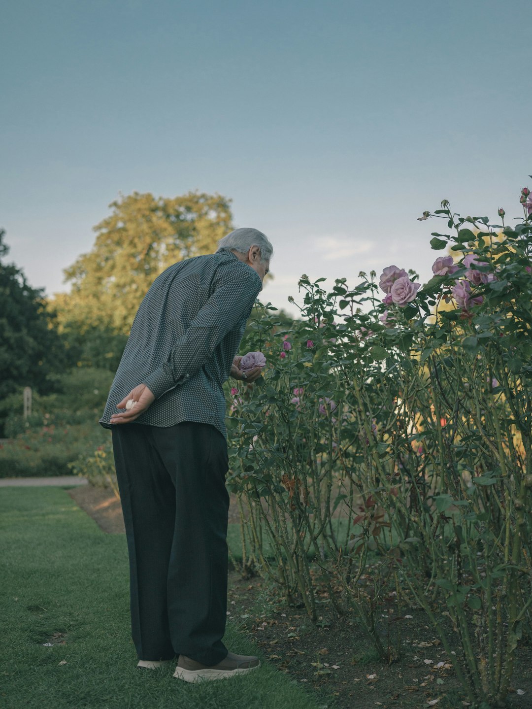 elderly man reading book in garden